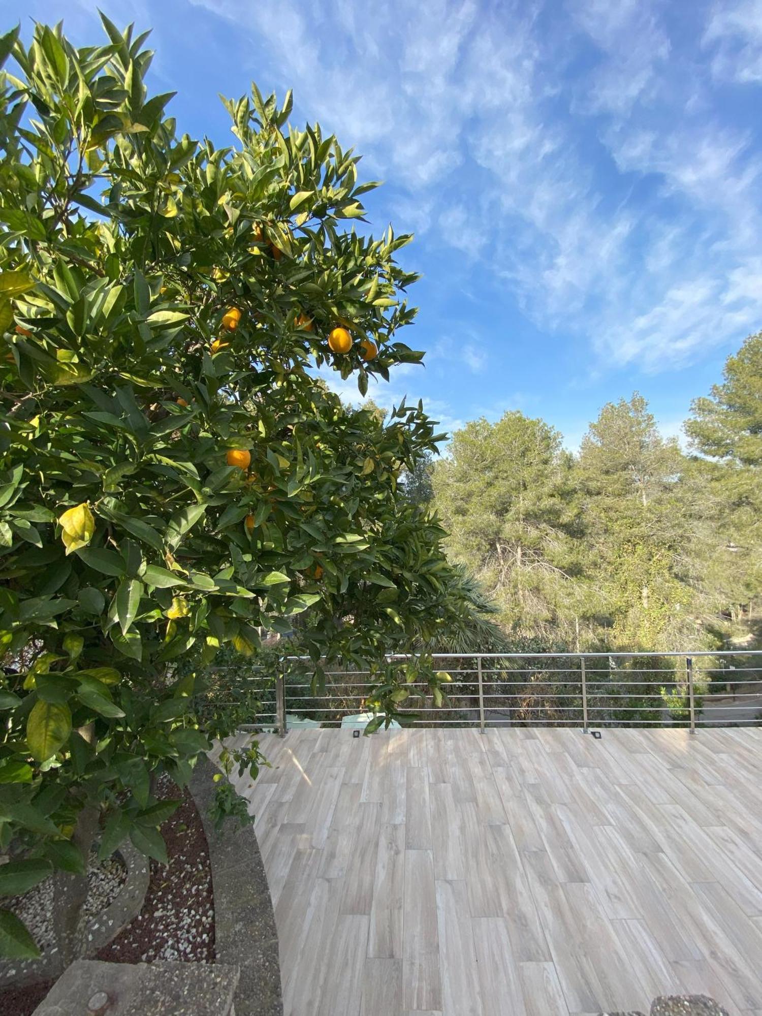 Villa Avril Piscina Privada Y Amplias Terrazas Оливелья Экстерьер фото